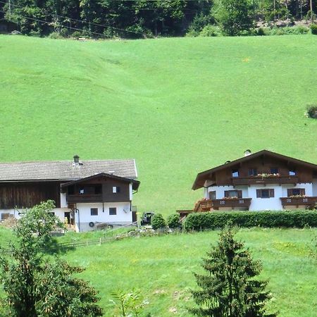 Апартаменты Zellerhof Финкенберг Экстерьер фото
